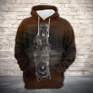 Cute Cairn Terrier Reflection All Over Hoodie