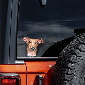 Italian Greyhound-Hand Drawn Car Sticker
