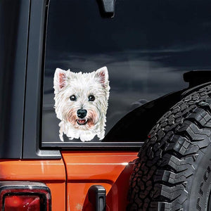 West Highland White Terrier-Hand Drawn Car Sticker