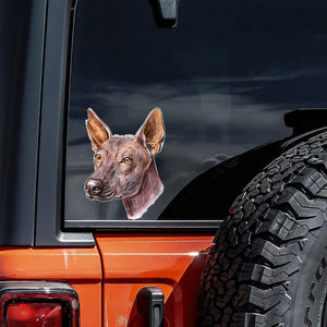 Mexican Hairless Dog-Hand Drawn Car Sticker