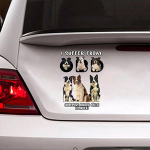 I Suffer From Border Collie Decal