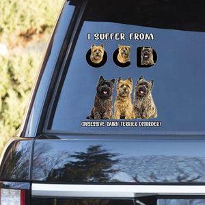 I Suffer From Cairn Terrier Decal