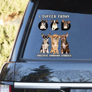 I Suffer From Chihuahua Decal