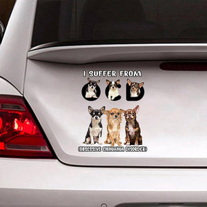 I Suffer From Chihuahua Decal