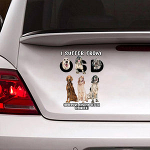 I Suffer From English Setter Decal