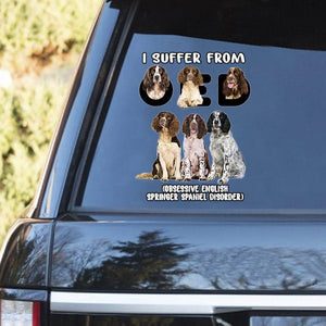 I Suffer From English Springer Spaniel Decal