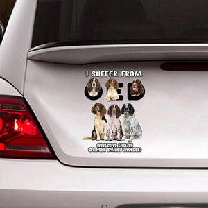 I Suffer From English Springer Spaniel Decal