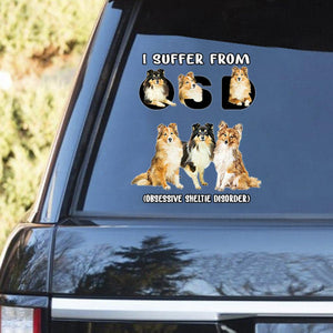 I Suffer From Sheltie Decal