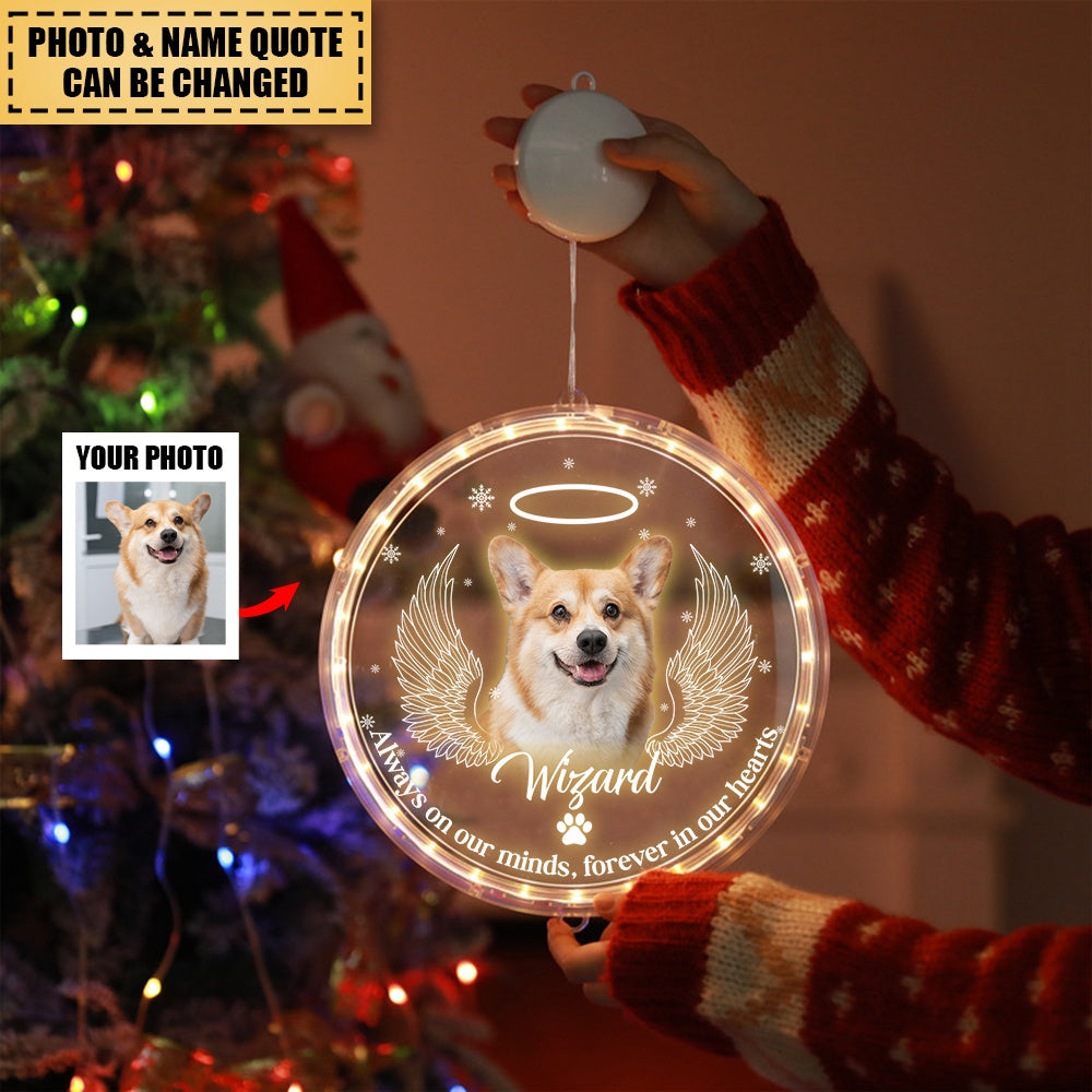 Personalized Led Acrylic Ornament  Memorial Gift For Pet Lovers
